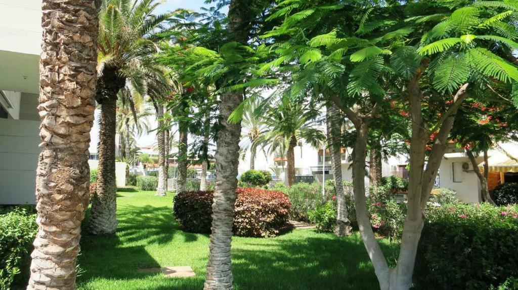 Primavera Appartement Tot 7 Personen Ideaal Voor Backpackers Arona  Bagian luar foto